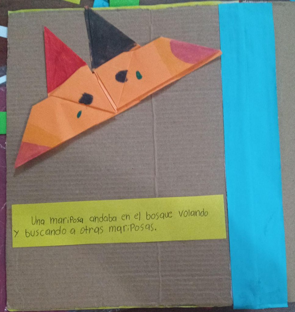 libro cartonero origami fed